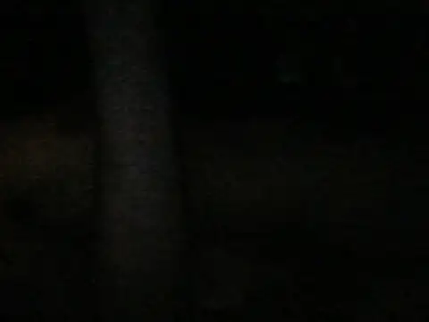 Snapshot of Amalgh6 chatting on 10/31/25, 06:04 Amalgh6 online show from 10/31/25, 06:04