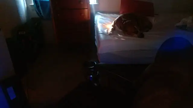 DADDY KANE8--- online show from 01/17/26, 09:29