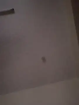 queen  ebony online show from 02/16/25, 06:10