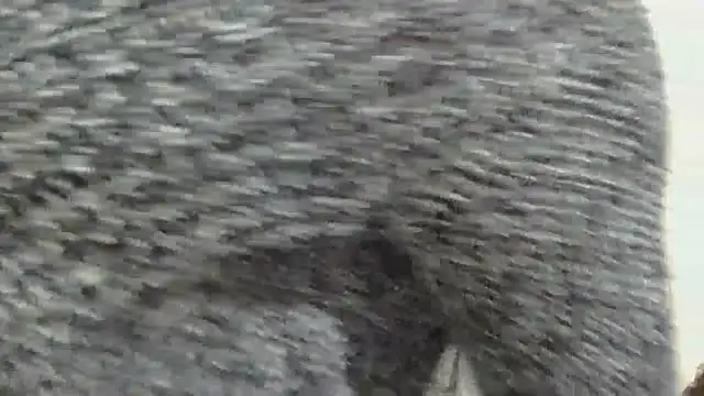 sluttylaura21 online show from 12/04/25, 11:48