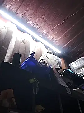 rajstrip12650 online show from 12/18/25, 09:25