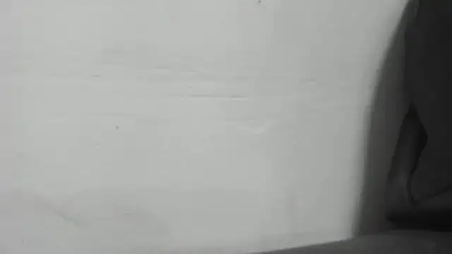 roxana collins online show from 01/16/25, 02:30