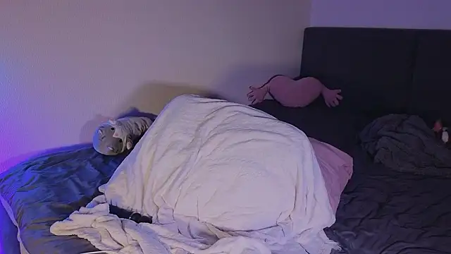 shey1i online show from 02/11/26, 06:19