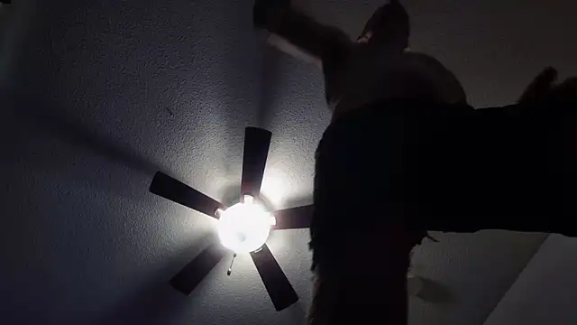 BDDuncanAbaddon online show from 10/19/25, 04:21