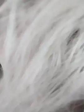 Linda Gregory online show from 12/09/24, 07:39