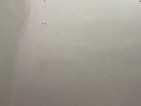 CALVINXXX online show from 02/21/25, 09:43