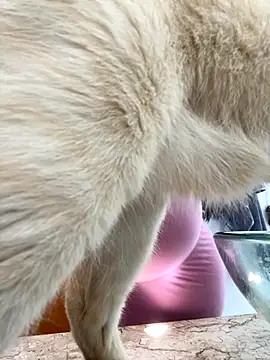 lupyta20 online show from 10/05/25, 01:02