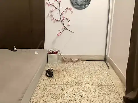 Snapshot of shanayaaa_1 chatting on 03/08/26, 02:04 shanayaaa 1 online show from 03/08/26, 02:04