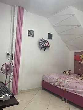 Snapshot of Rossestoner chatting on 02/27/26, 01:17 Rossestoner online show from 02/27/26, 01:17