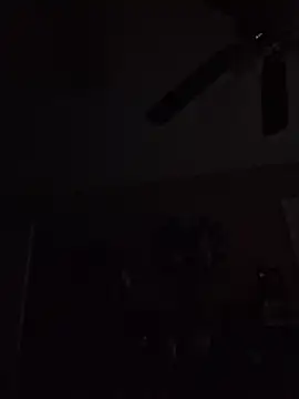 hungpenis210 online show from 12/02/25, 09:00