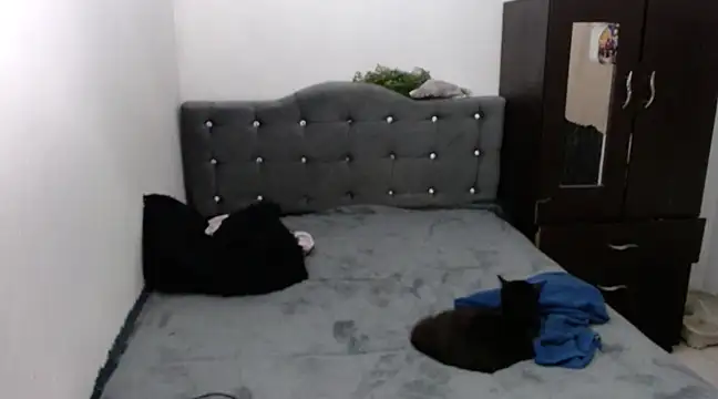 xx nath xx online show from 12/06/24, 02:40