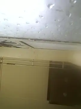 AddictiveAssCurves online show from 03/05/26, 07:27