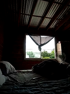 maruli online show from 03/14/26, 07:42