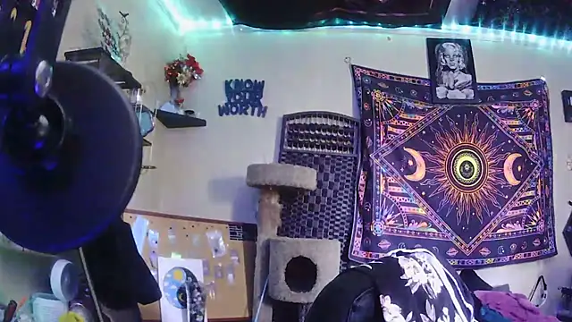 Snapshot of spunlikecottoncandy chatting on 03/31/26, 08:00 spunlikecottoncandy online show from 03/31/26, 08:00