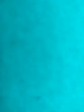 JRock69nKzoo online show from 02/21/26, 12:29