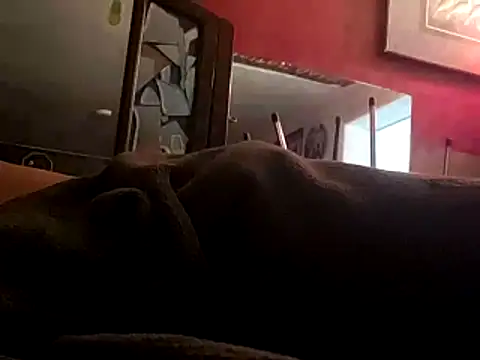 JRock69nKzoo online show from 11/12/25, 11:58