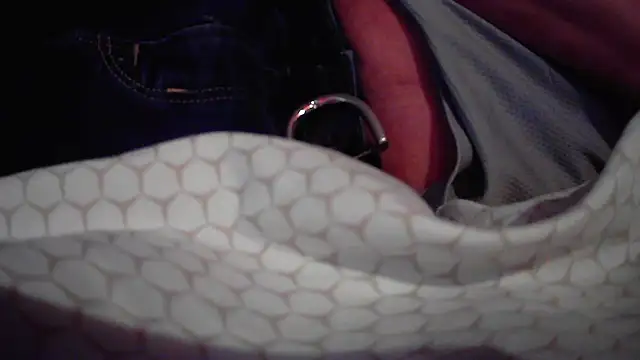 JRock69nKzoo online show from 12/18/25, 11:47