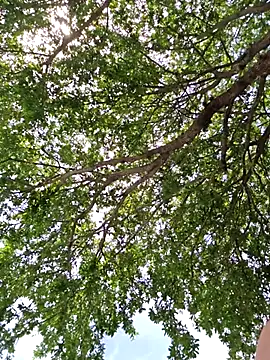 SkyelarSommer online show from 04/13/26, 07:07