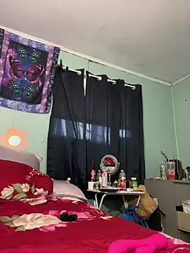 DominiqueX0 online show from 01/13/26, 06:23