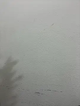 croftsmila online show from 12/19/25, 11:29