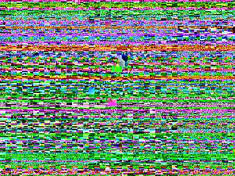 naughty-american online show from 05/31/26, 08:09
