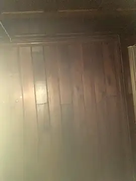 Mesonic Empire online show from 12/22/25, 05:07