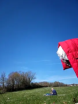 bellapaty online show from 03/17/26, 12:52