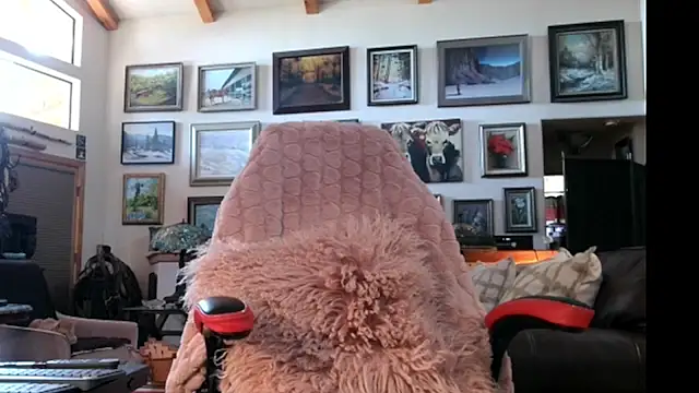 littlepistol01 online show from 06/13/26, 02:48
