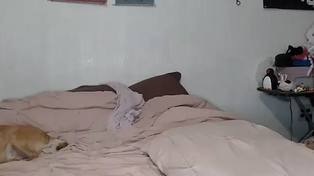 Snapshot of Cupcakecutie449 chatting on 11/09/25, 08:07 Cupcakecutie449 online show from 11/09/25, 08:07