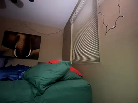 Bwcjoshbanks online show from 11/28/25, 06:24