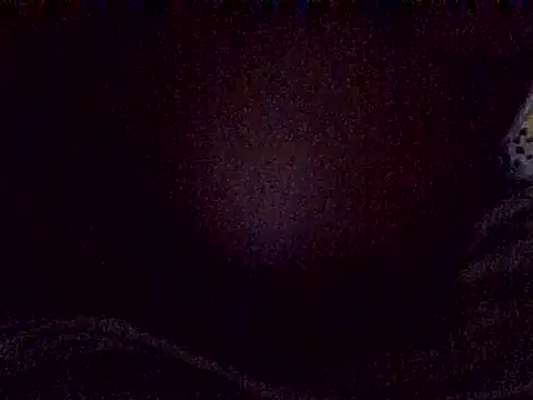 bur berrie online show from 02/23/26, 08:59