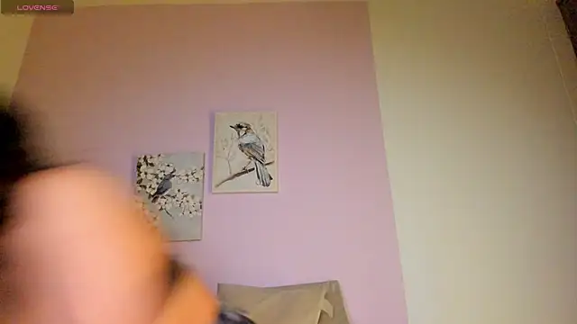 Mhia palmer online show from 02/01/26, 11:19