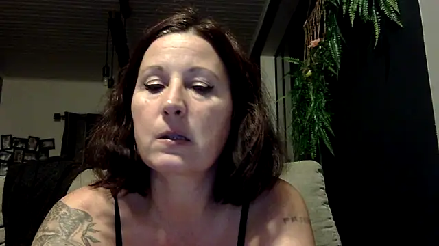 feline27 online show from 11/12/25, 10:46