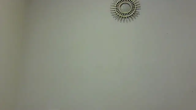 feline27 online show from 11/07/25, 10:13