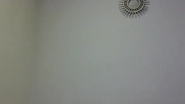 feline27 online show from 11/11/25, 08:47