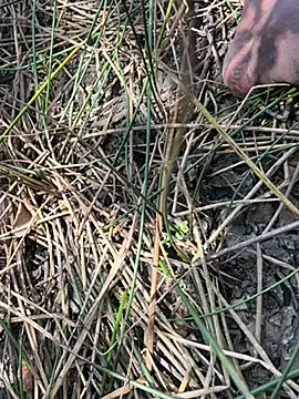 Yurt000 online show from 09/23/25, 05:36