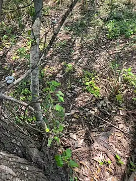 Yurt000 online show from 09/10/25, 05:28