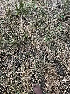 Yurt000 online show from 09/16/25, 04:57