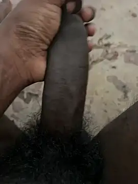 Yurt000 online show from 01/29/25, 09:44