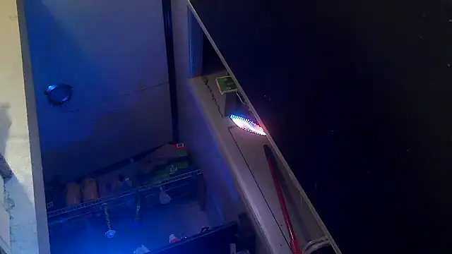 Bi curious86 online show from 11/01/25, 10:03