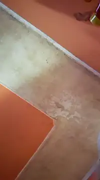 ducicsajsziii online show from 03/16/25, 07:26