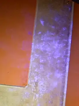 ducicsajsziii online show from 03/07/25, 08:33