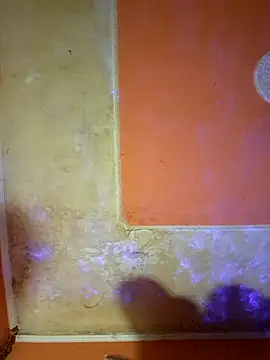 ducicsajsziii online show from 03/15/25, 01:29