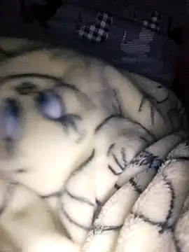 Snapshot of bruna_safadinhaa chatting on 02/17/25, 09:56 bruna safadinhaa online show from 02/17/25, 09:56