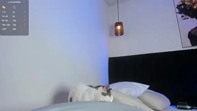 dolly zoe online show from 03/07/26, 07:19