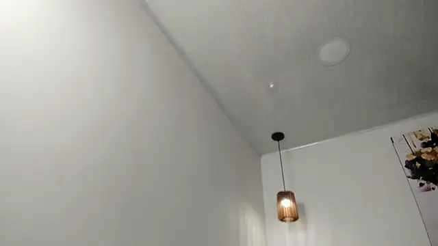 Snapshot of dolly_zoe chatting on 02/13/26, 04:56 dolly zoe online show from 02/13/26, 04:56