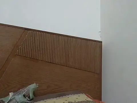 shekira99 online show from 11/12/25, 03:05