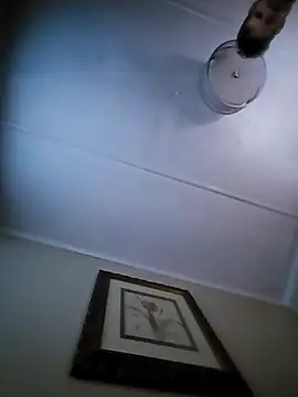 j hollywood91 online show from 11/30/25, 03:13