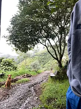 vergasgrandes online show from 01/05/25, 09:14