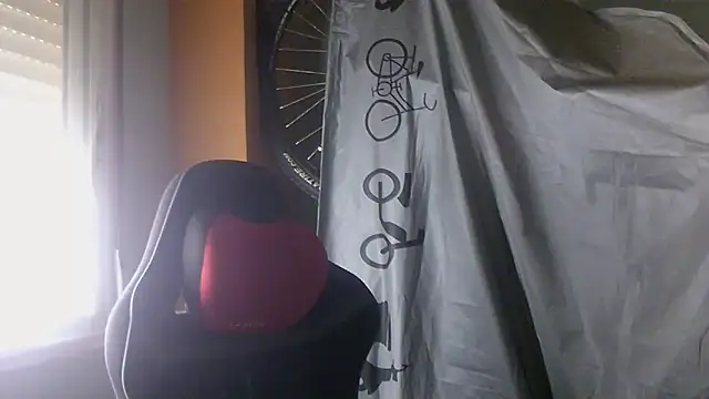 Snapshot of porkorossy chatting on 05/28/26, 07:16 porkorossy online show from 05/28/26, 07:16
